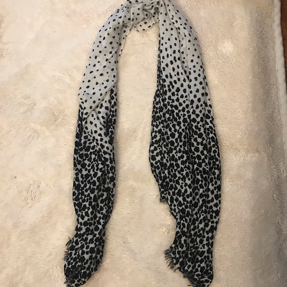 Ann Taylor Scarf
